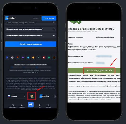 Лицензия казино Selector